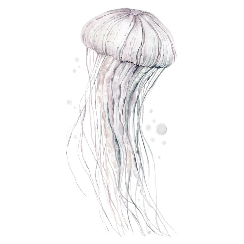 Meduse