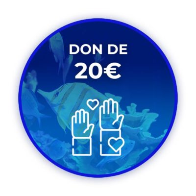 Donation de 20 euros