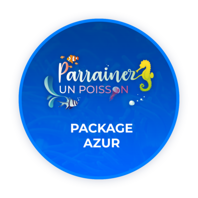 Package Azur