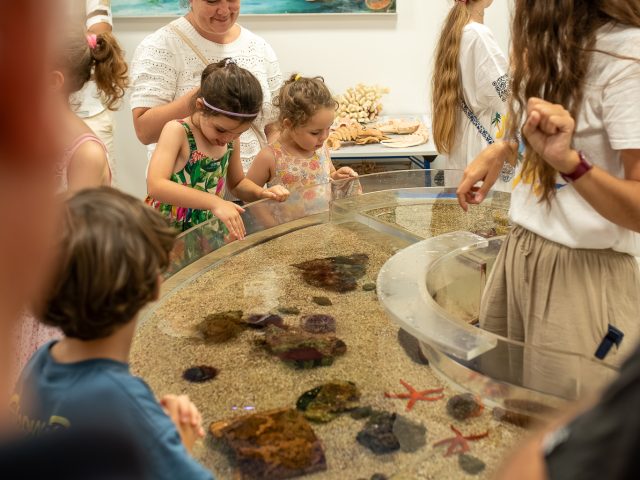 Fête du musée Océanographie_28.06.2025 by Crescenzo Evenementiel (154 sur 367)