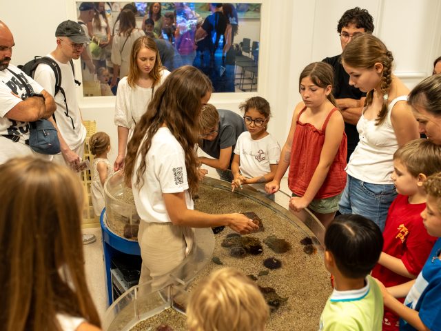 Fête du musée Océanographie_28.06.2025 by Crescenzo Evenementiel (192 sur 367)