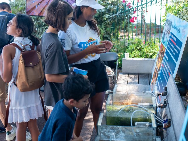 Fête du musée Océanographie_28.06.2025 by Crescenzo Evenementiel (206 sur 367)