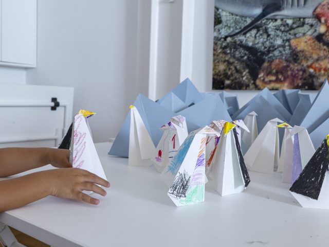 Association des amis du Musée Océanographique de Monaco, Journée du Musée 2023